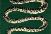 Коллекция (META)FISICA,  Fornasetti и cc-tapis. Фото: Giulio Gghirardi